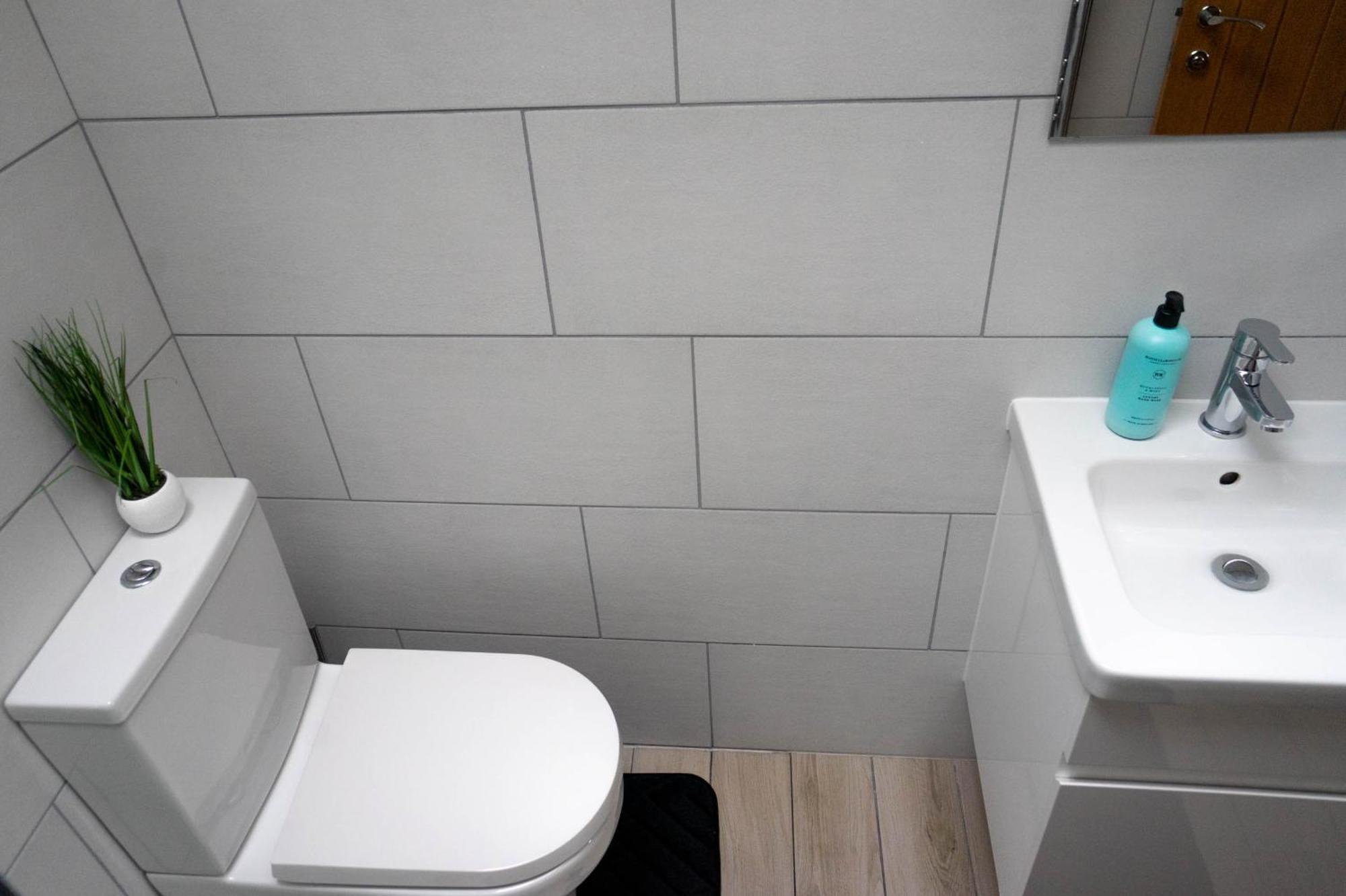 Appartement 1 Bed House , Free Wifi,Free Parking,Leasure,Business à Swansea Extérieur photo